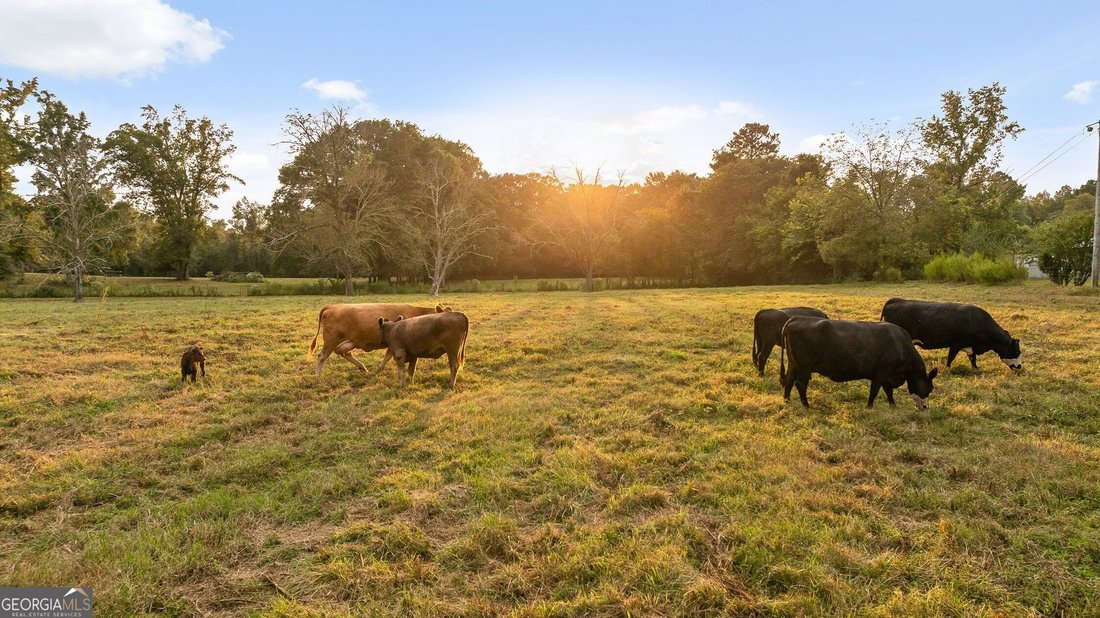 Farm Ranch in Chatsworth, Georgia, United States 3 - 17899757