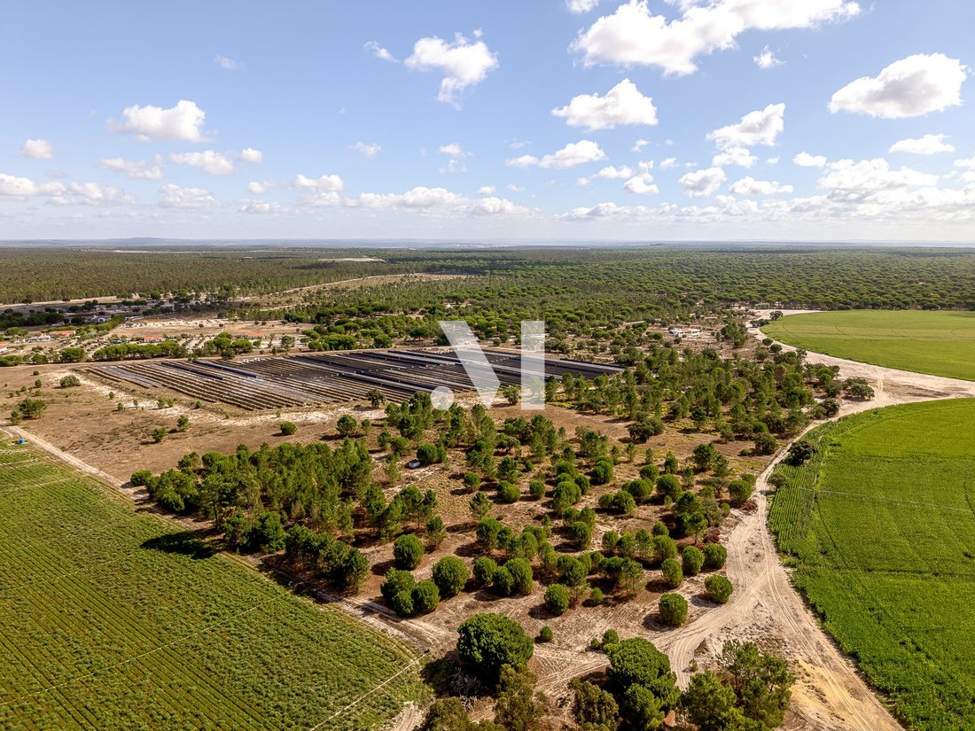 Land in Grandola e Santa Margarida da Serra, Setubal, Portugal 5 - 18873117