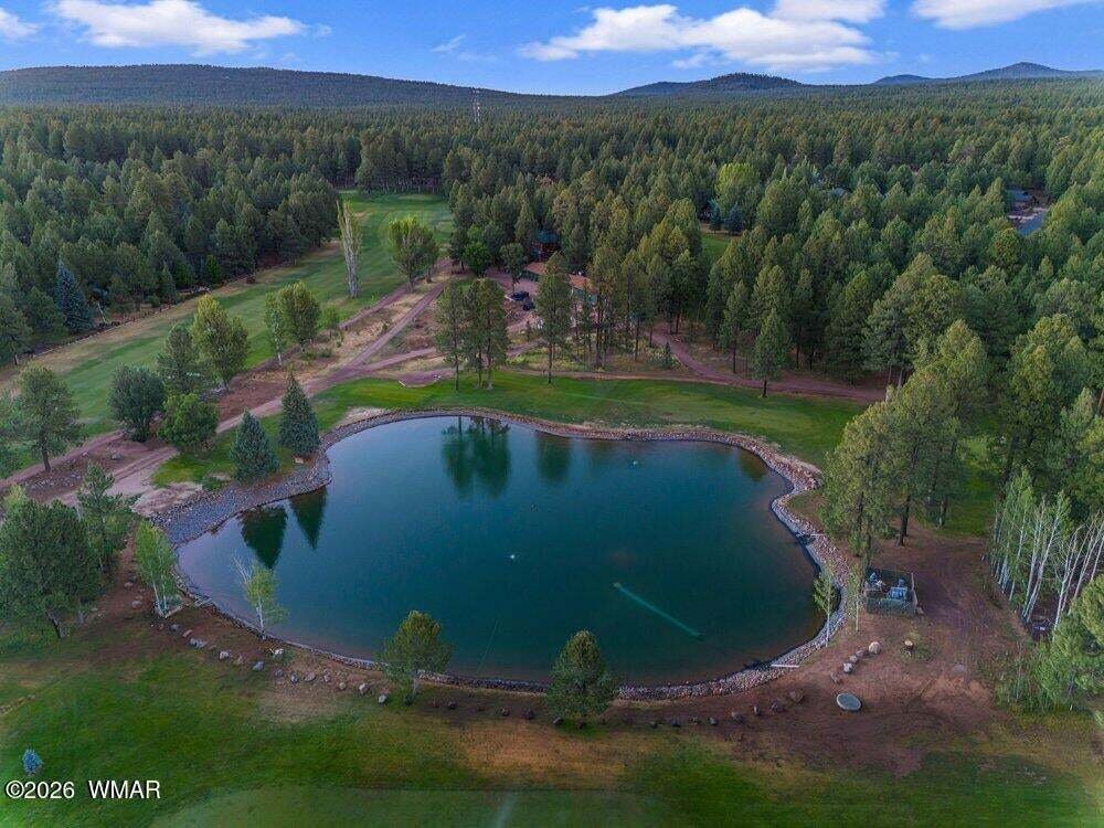Pinetop, Arizona, United States 3 - 18874006
