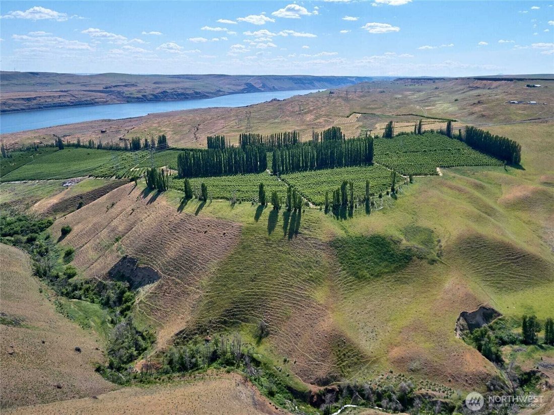 Goodnoe Hills, Washington, United States 4 - 18870967