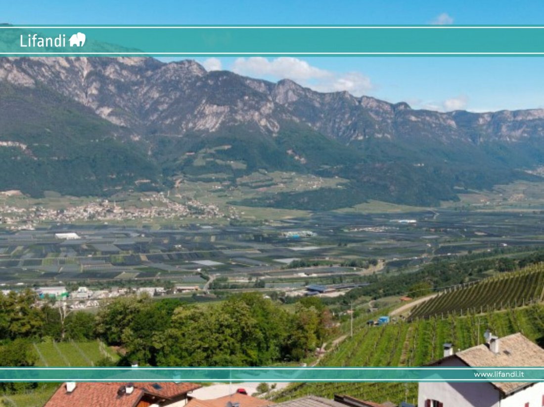 Apartment in Gleno, Trentino – Alto Adige/Südtirol, Italy 1 - 15213573