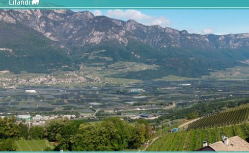 Apartment in Gleno, Trentino – Alto Adige/Südtirol, Italy 1