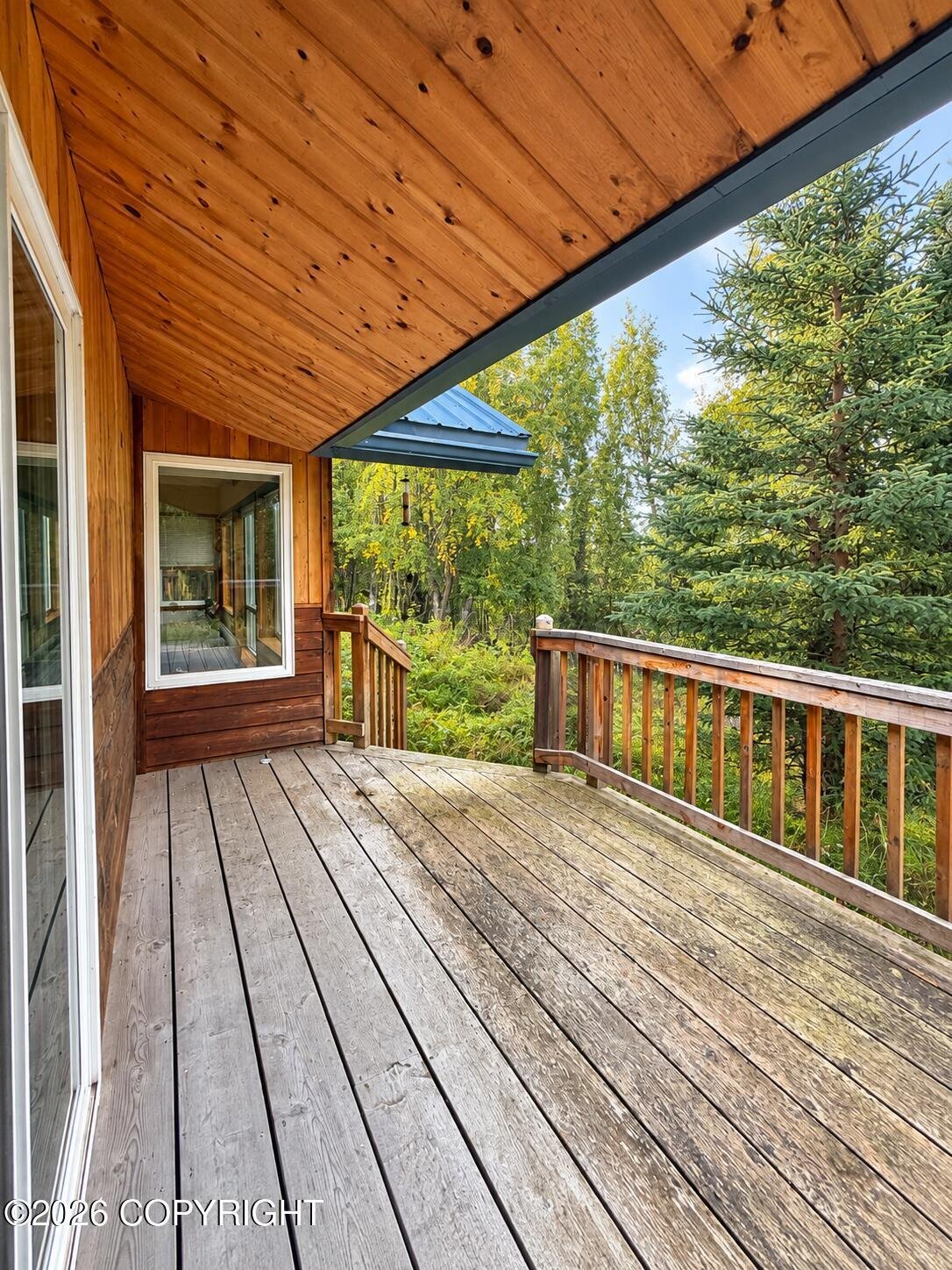 Altro a Kenai, Alaska, Stati Uniti 5 - 18299786