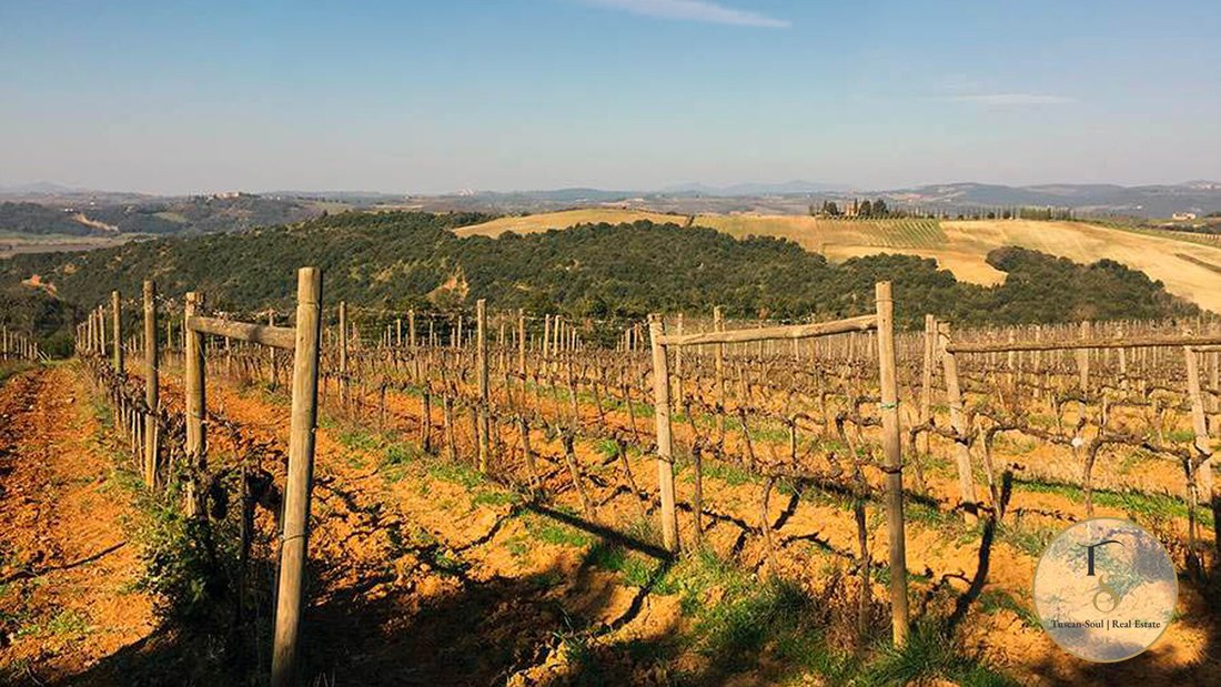 Rancho en Montalcino, Toscana, Italia 1 - 18872379