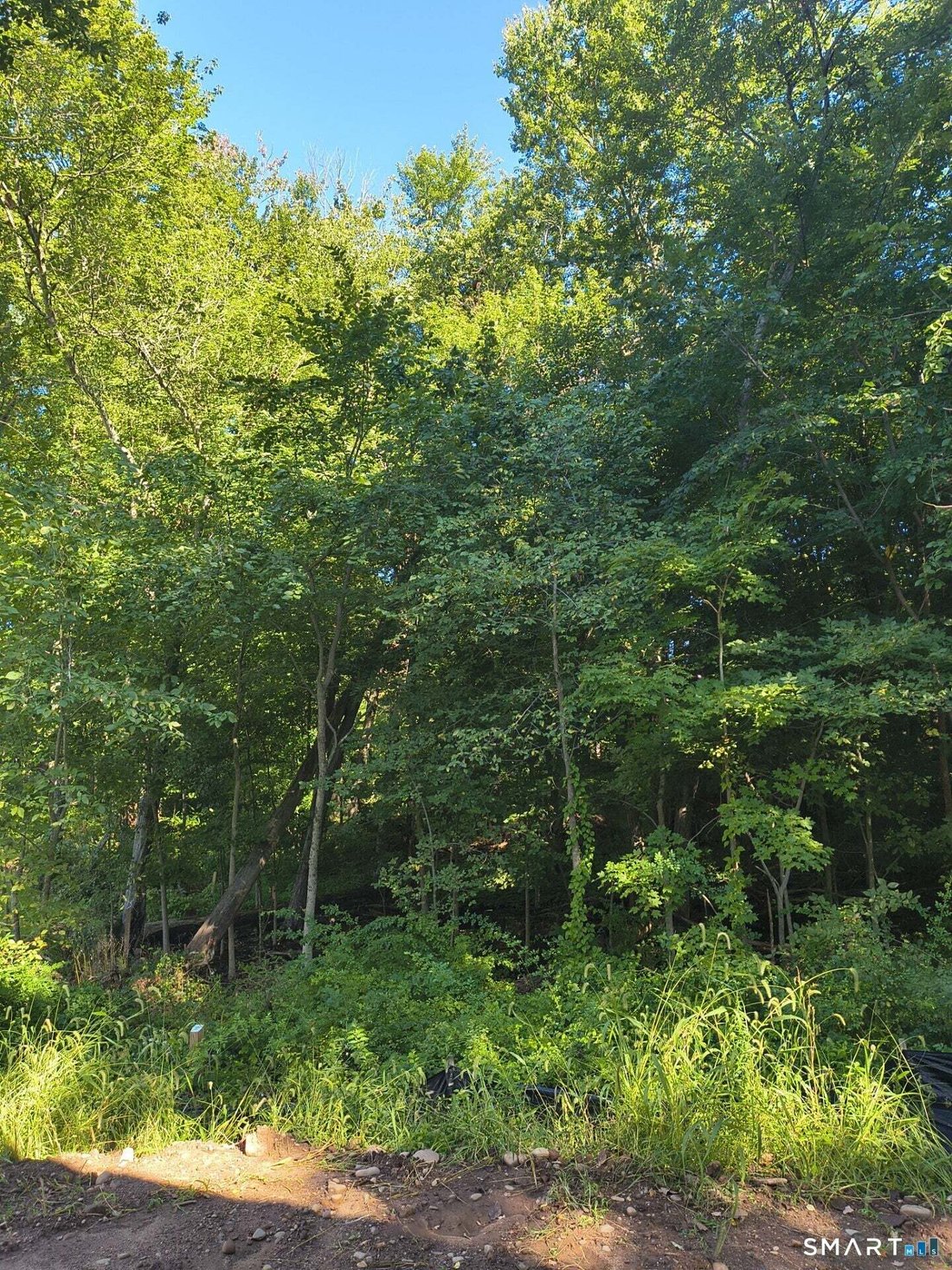 House in Cheshire, Connecticut, United States 4 - 18870936