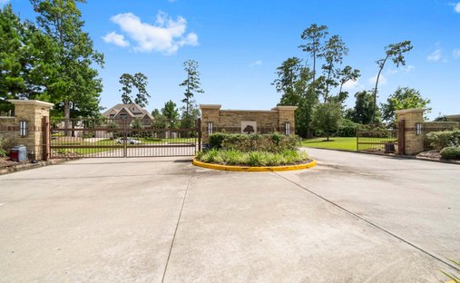 House in Conroe, Texas, United States 1