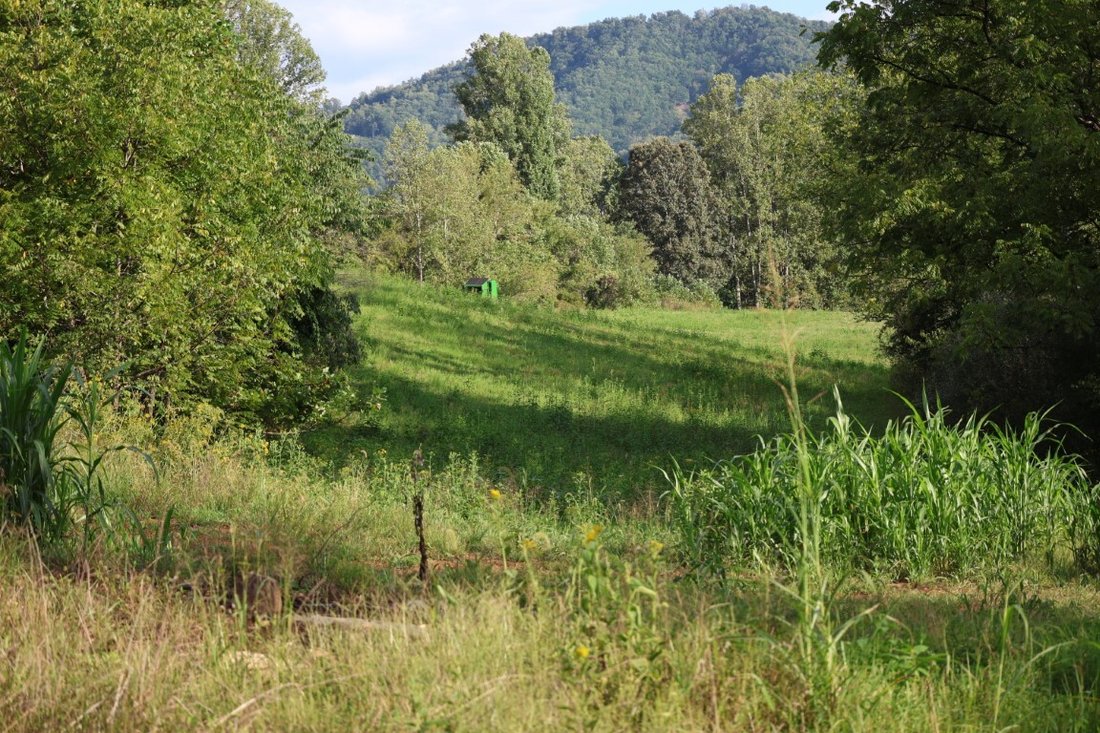 Terreno a Amherst, Virginia, Stati Uniti 3 - 18872831