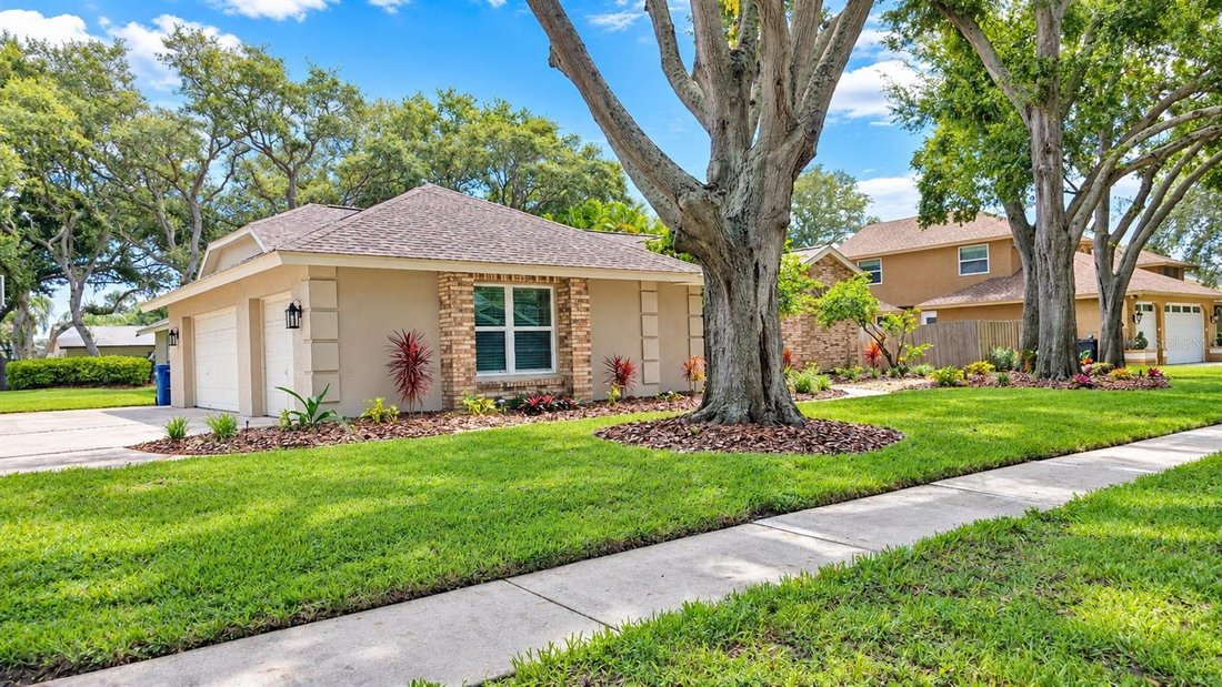 House in Seminole, Florida, United States 3 - 18873373