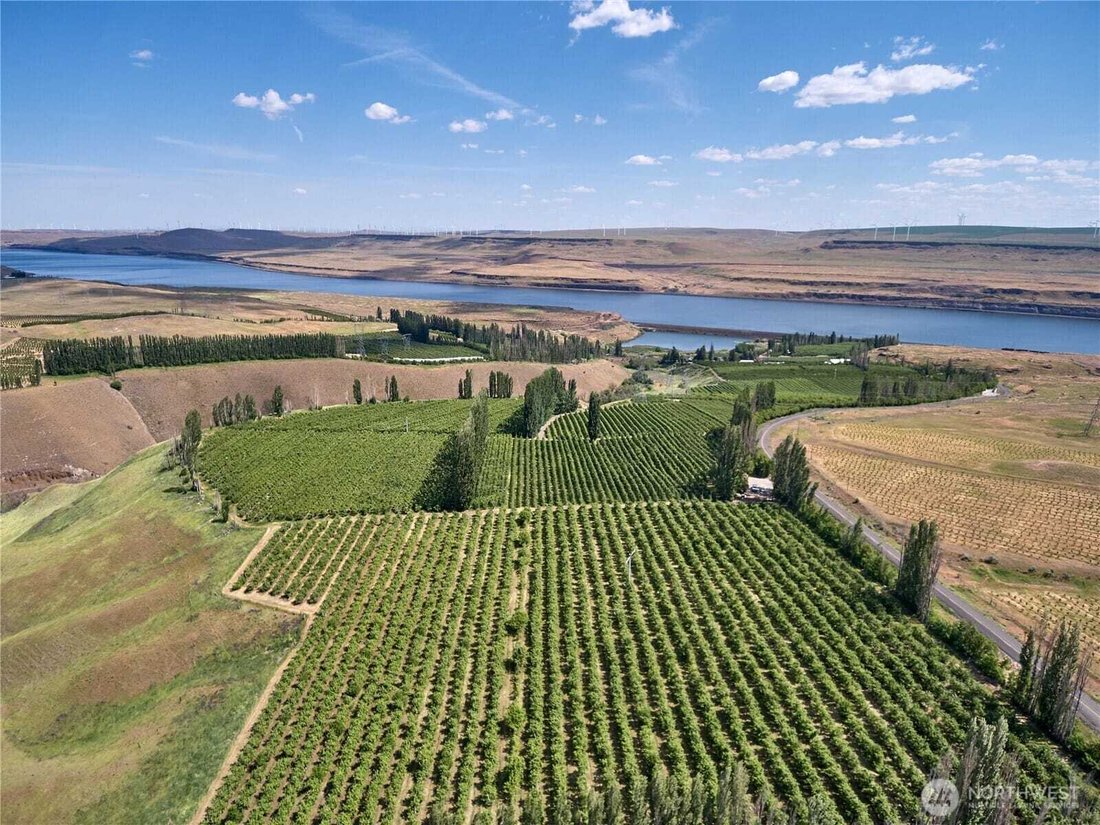 Goodnoe Hills, Washington, United States 1 - 18870967