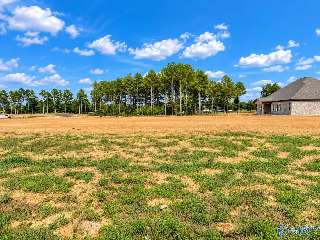 House in Athens, Alabama, United States 1 - 17681433