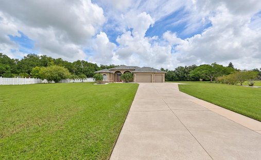 Maison à Parrish, Floride, États-Unis 1