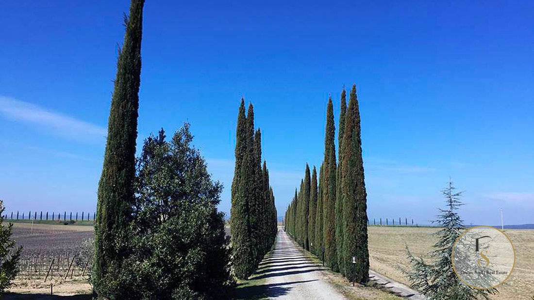 Rancho en Montalcino, Toscana, Italia 5 - 18872379