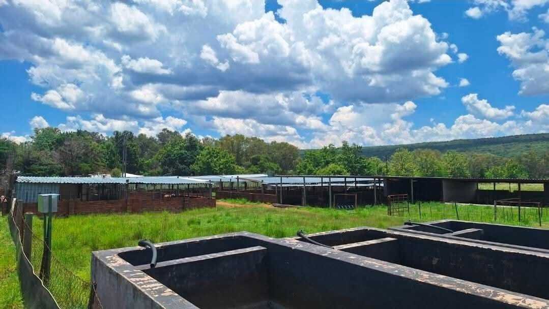 Azienda agricola a Modimolle, Provincia del Limpopo, Sudafrica 5 - 18875755