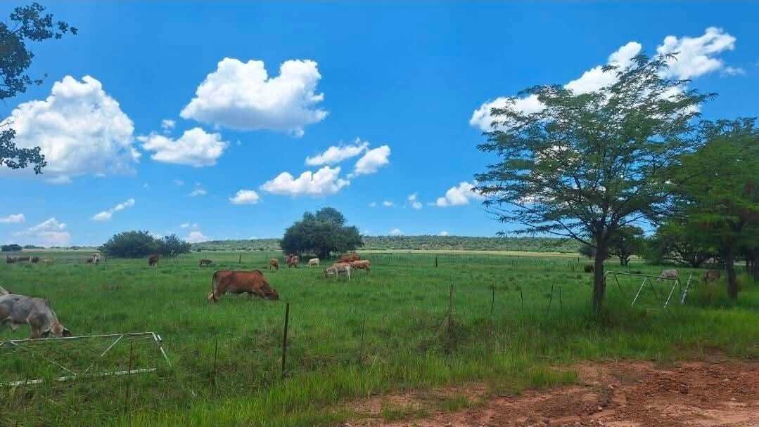 Azienda agricola a Modimolle, Provincia del Limpopo, Sudafrica 1 - 18875755