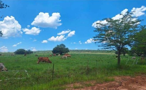 Farm Ranch in Modimolle, Limpopo, South Africa 1