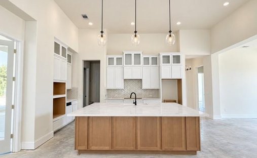 House in Spring, Texas, United States 1