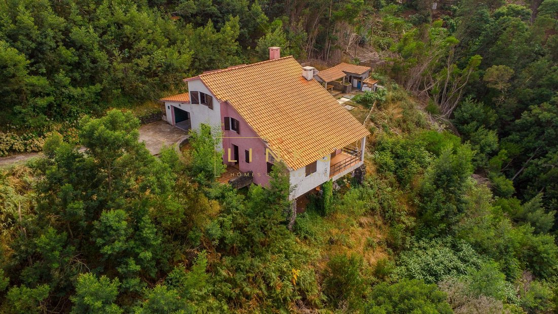 Villa en Camacha, Madeira, Portugal 1 - 18875048
