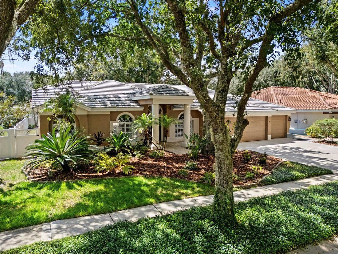 House in Tampa, Florida, United States 3 - 18873402