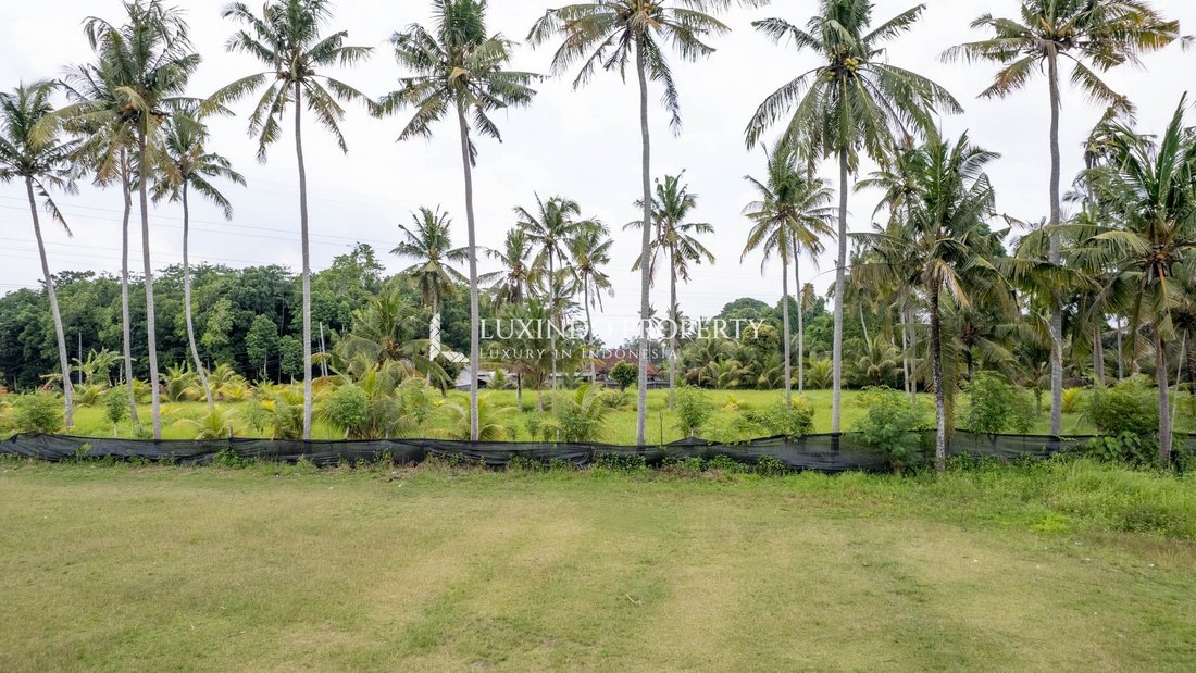 Land in Ubud, Bali, Indonesia 1 - 18876131