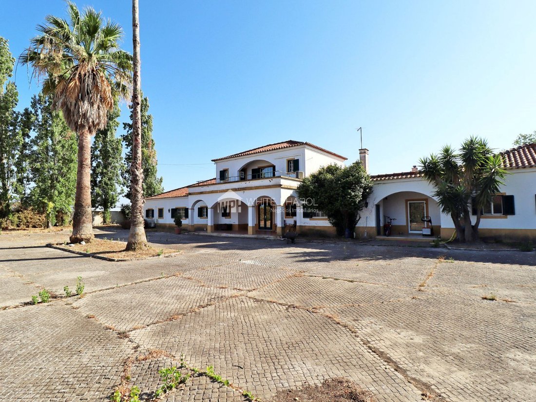 Farm Ranch in Benavente, Santarem District, Portugal 1 - 18876602