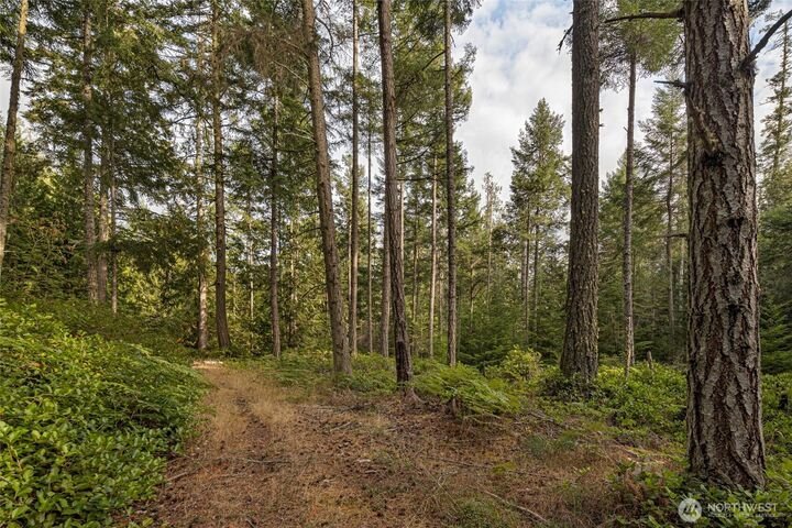 Land in Friday Harbor, Washington, United States 3 - 18877051