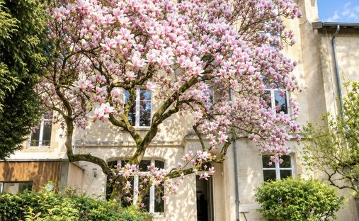 Casa a Nancy, Grande Est, Francia 1