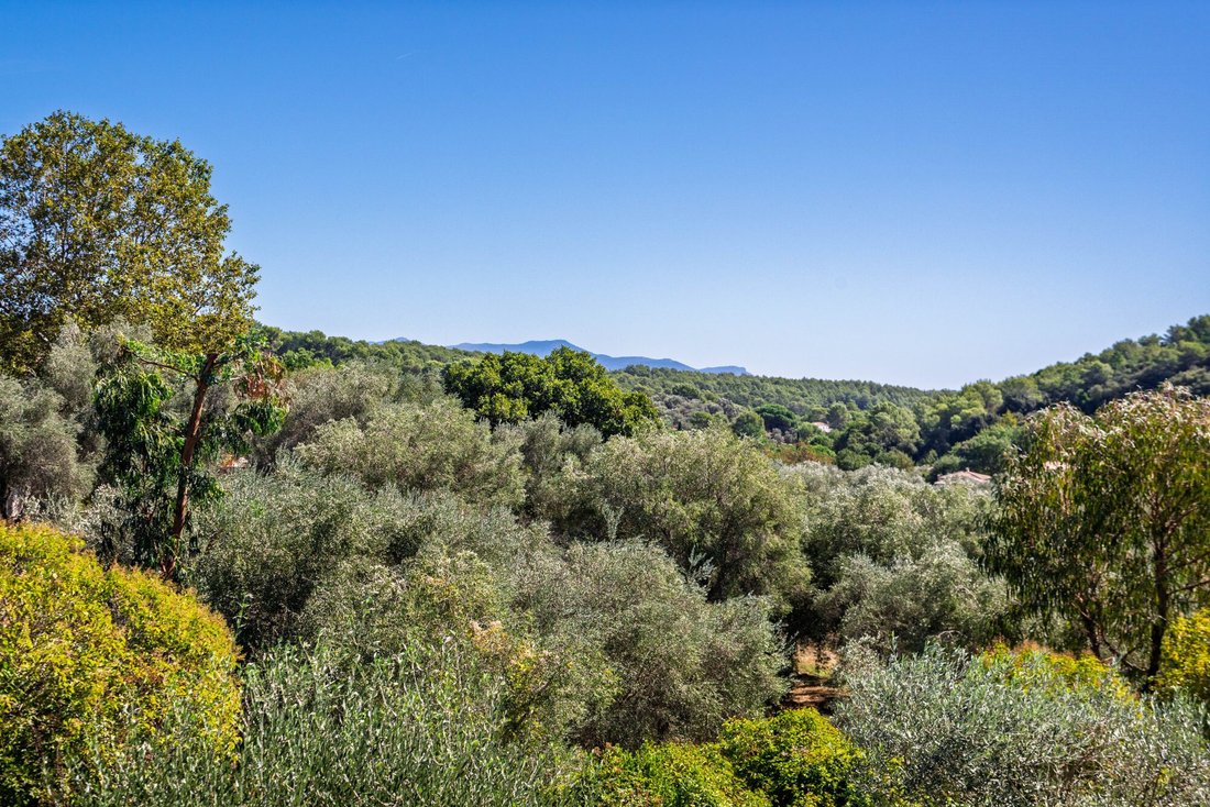 Villa en Valbonne, Provenza-Alpes-Costa Azul, Francia 3 - 18876121