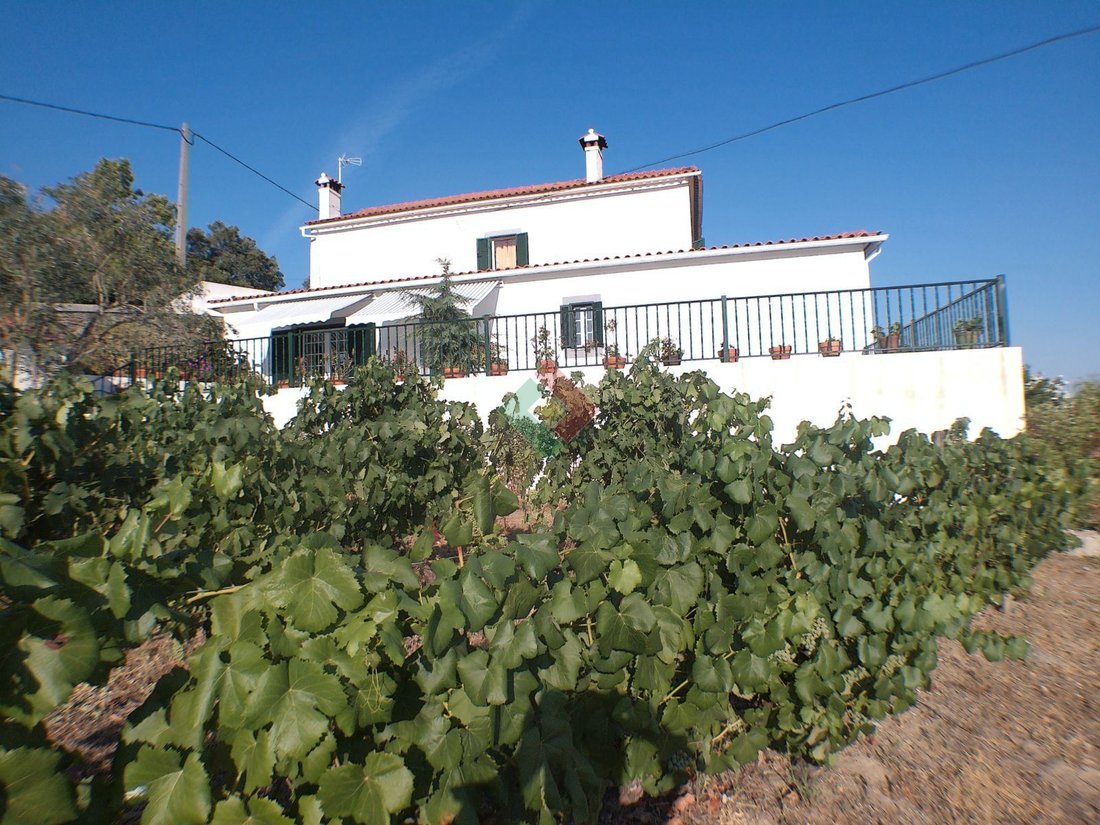 Farm Ranch in Reguengo e Sao Juliao, Portalegre, Portugal 1 - 18876605