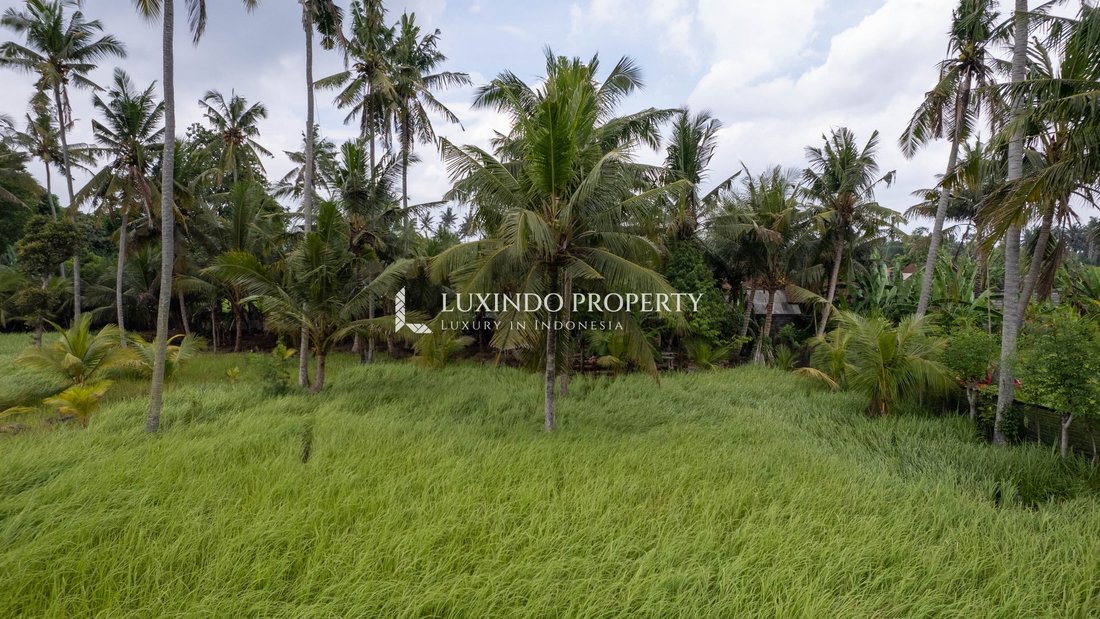 Land in Ubud, Bali, Indonesia 4 - 18876131
