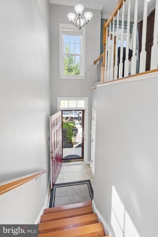 Residenza a Colesville, Maryland, Stati Uniti 3 - 18876009
