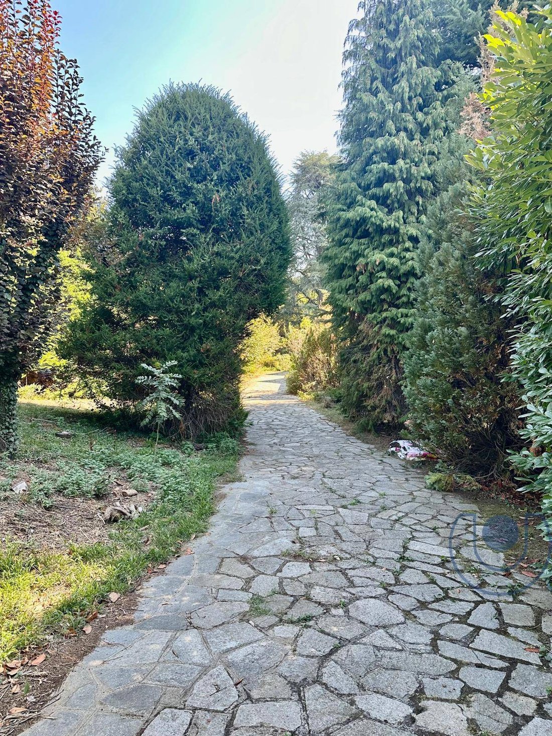 Villa in Pecetto Torinese, Piemont, Italien 5 - 18875805