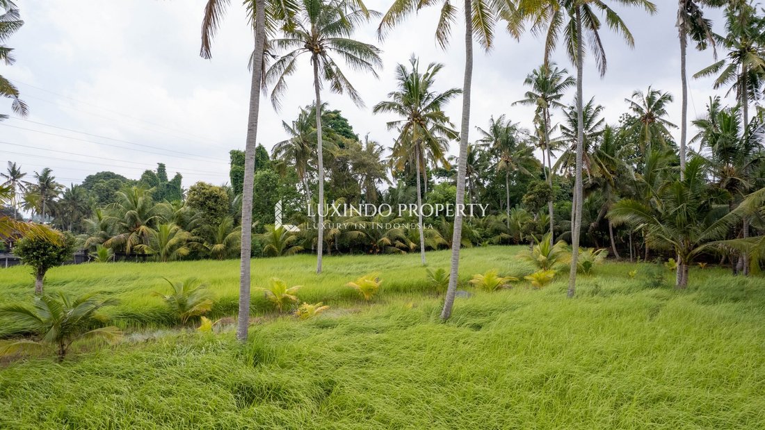Land in Ubud, Bali, Indonesia 2 - 18876131