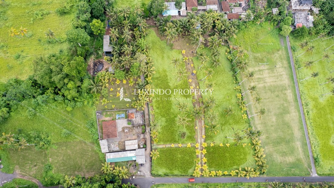 Land in Ubud, Bali, Indonesia 5 - 18876131