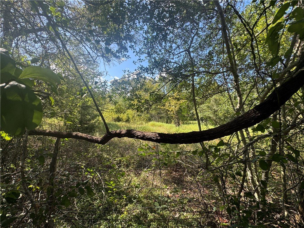 Terreno en Washington, Texas, Estados Unidos 1 - 18876840