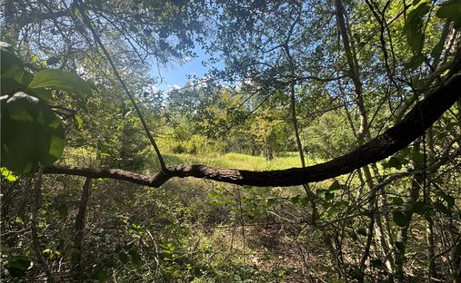 Land in Washington-on-the-Brazos, Texas, Vereinigte Staaten 1