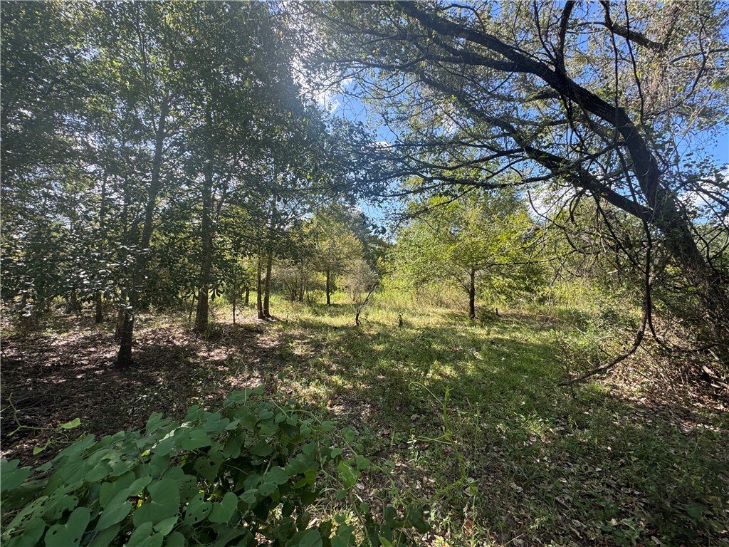 Terreno en Washington, Texas, Estados Unidos 2 - 18876840