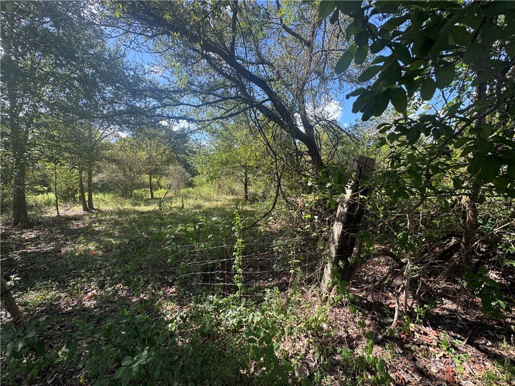 Terreno en Washington, Texas, Estados Unidos 5 - 18876840