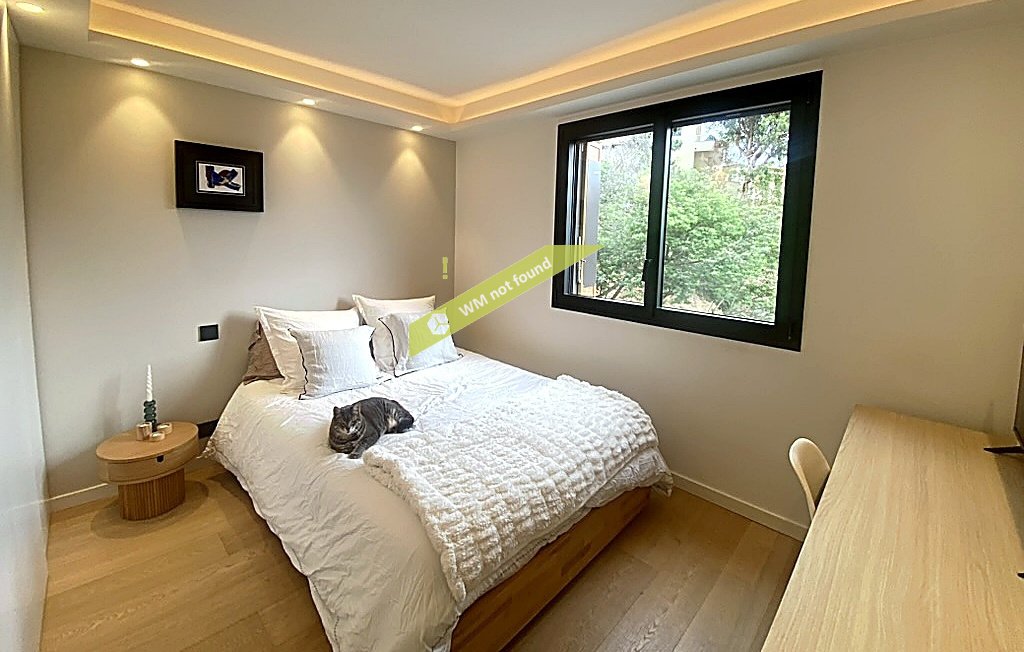 Apartment in Cannes, Provence-Alpes-Côte d'Azur, France 5 - 18877281