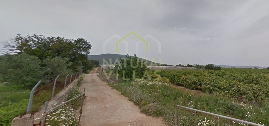 Land in Estoi, Algarve, Portugal 4 - 16487994