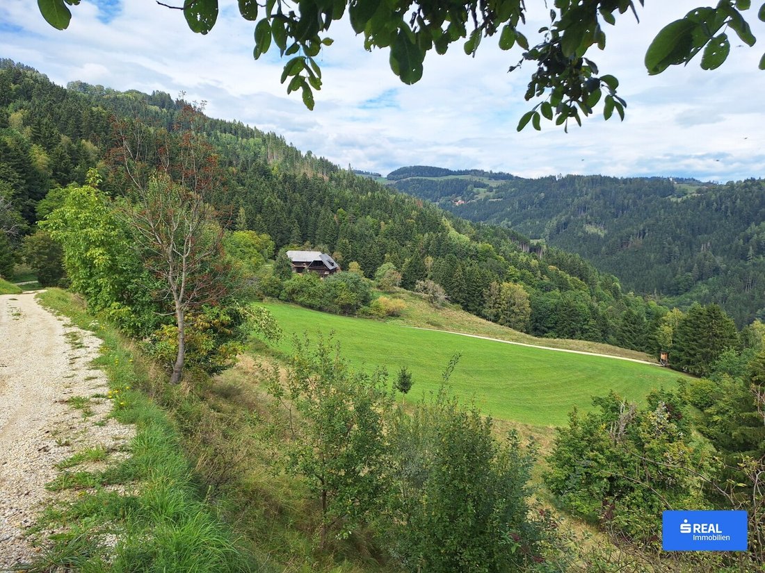 Sankt Andrä, Carinthia, Austria 1 - 18531310