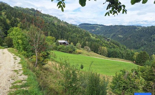 Sankt Andrä, Carinthia, Austria 1