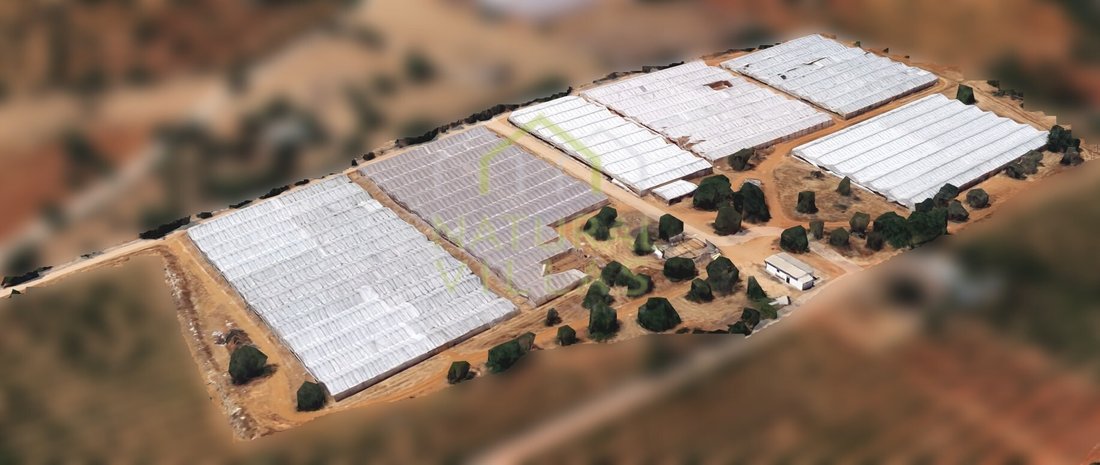 Land in Estoi, Algarve, Portugal 1 - 16487994