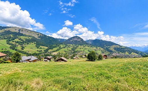Terreno a Praz-sur-Arly, Auvergne-Rodano-Alpi, Francia 1
