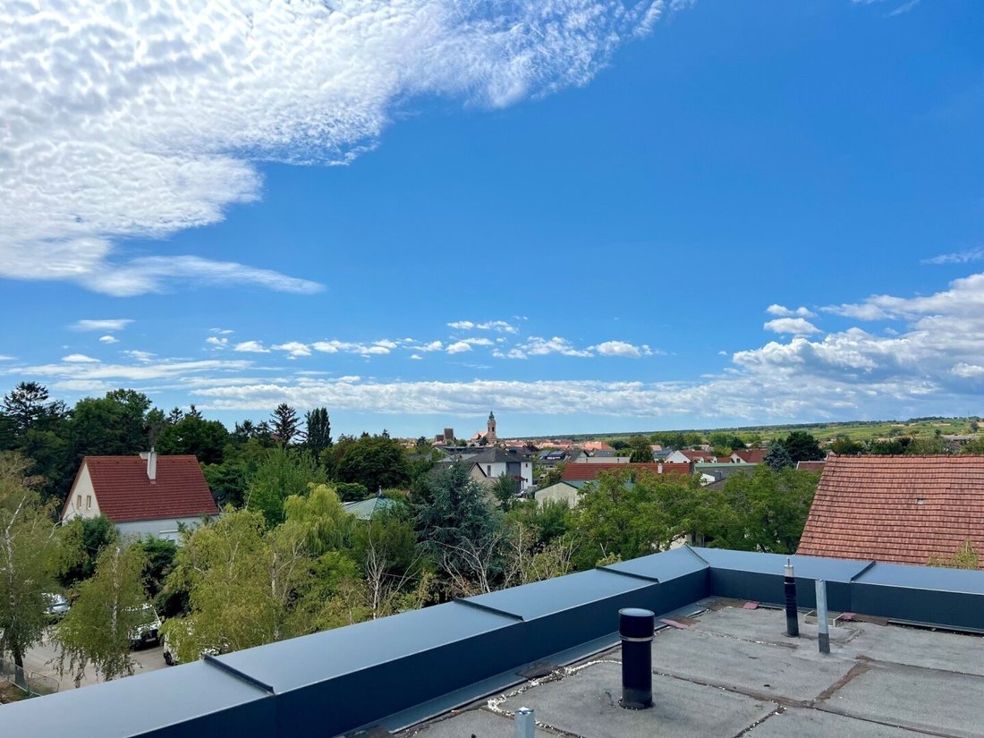 Apartment in Rust, Burgenland, Austria 5 - 17036032