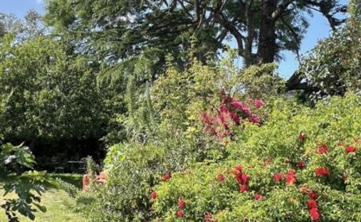 House in Fermanville, Normandy, France 1