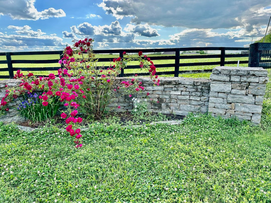 Azienda agricola a Lexington, Kentucky, Stati Uniti 5 - 18879683