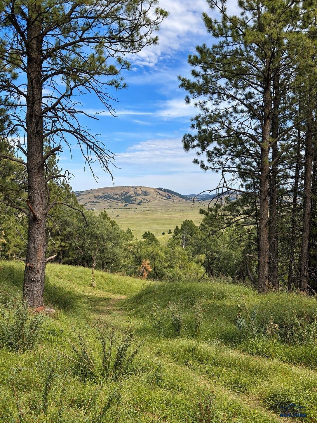 Land in North Spearfish, Süddakota, Vereinigte Staaten 1 - 18766779