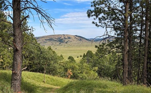Terrain à North Spearfish, South Dakota, Dakota du Sud, États-Unis 1