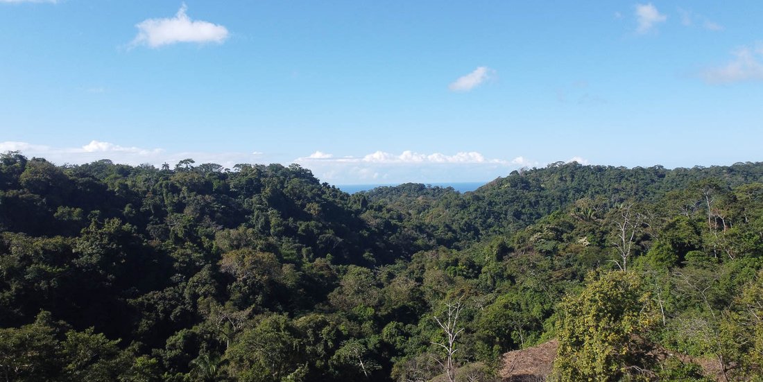 Terreno en Malpaís, Provincia de Puntarenas, Costa Rica 1 - 18820080