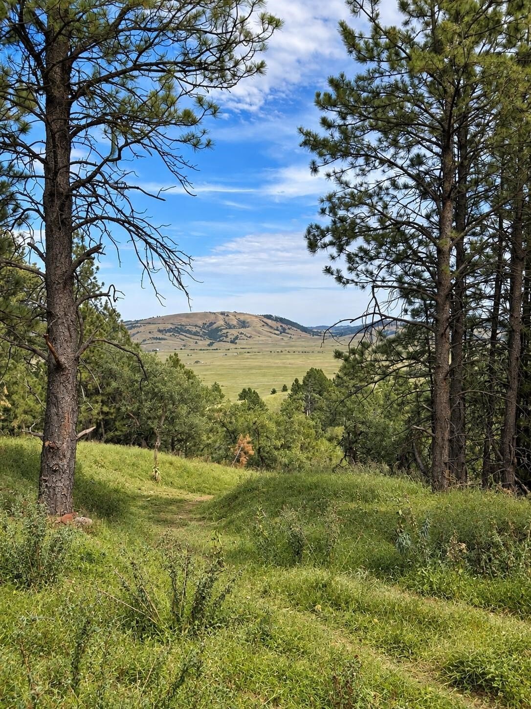 Land in Spearfish, South Dakota, United States 1 - 18764044